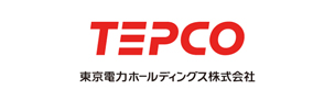 東京電力ホールディングス