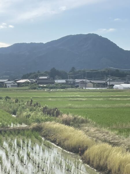 藤田 昴士