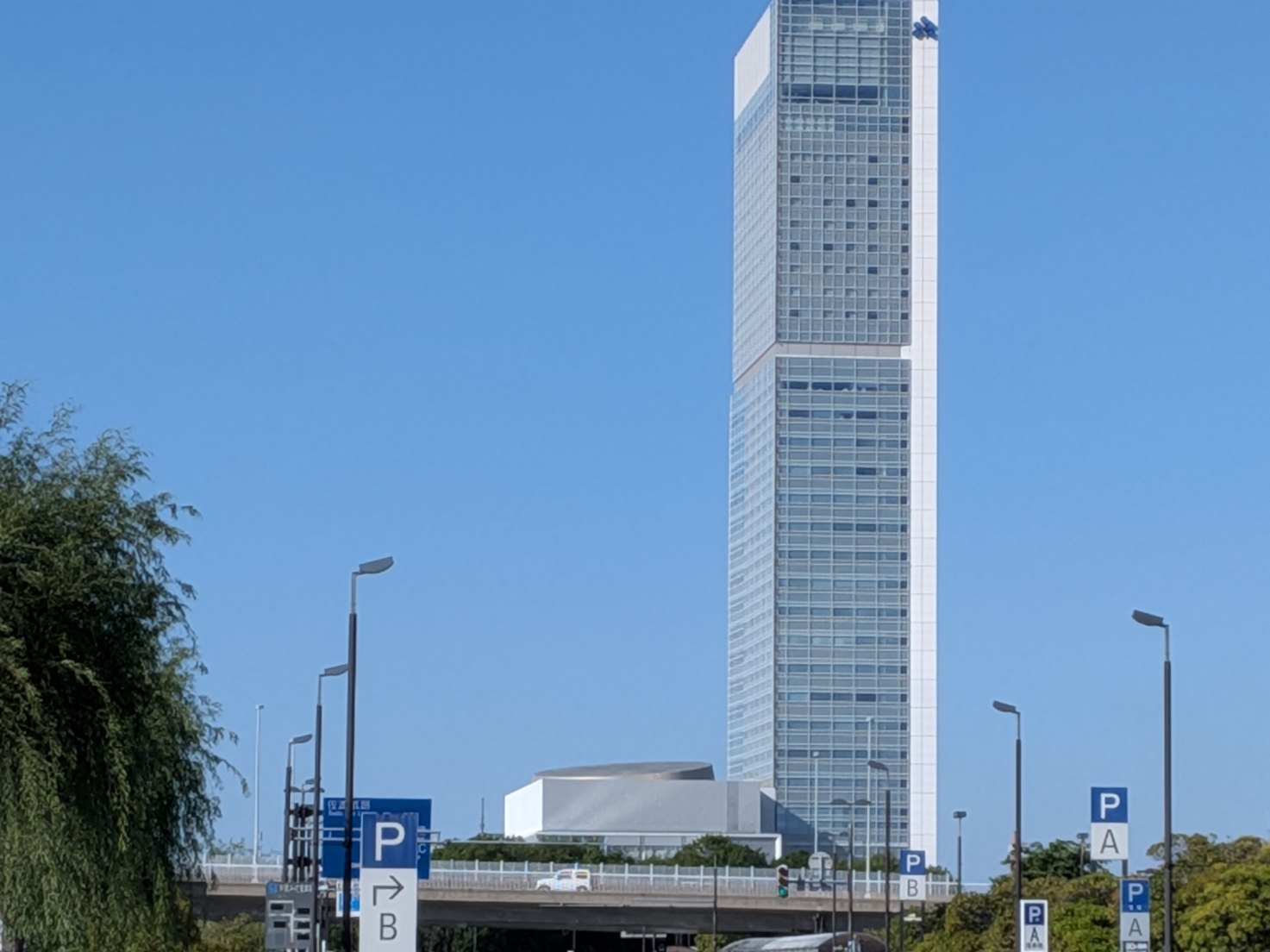 ライブ参戦